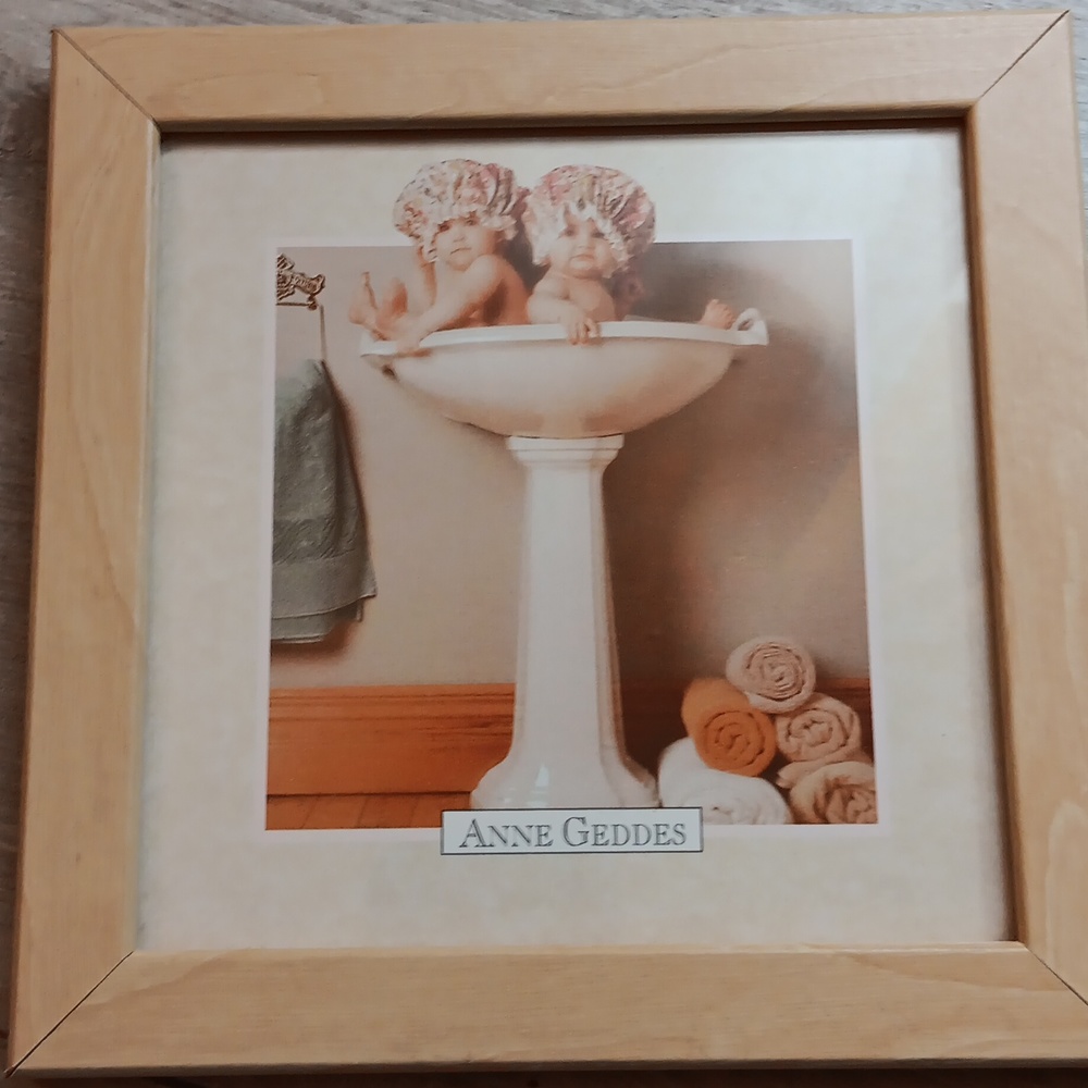 Anne Geddes picture